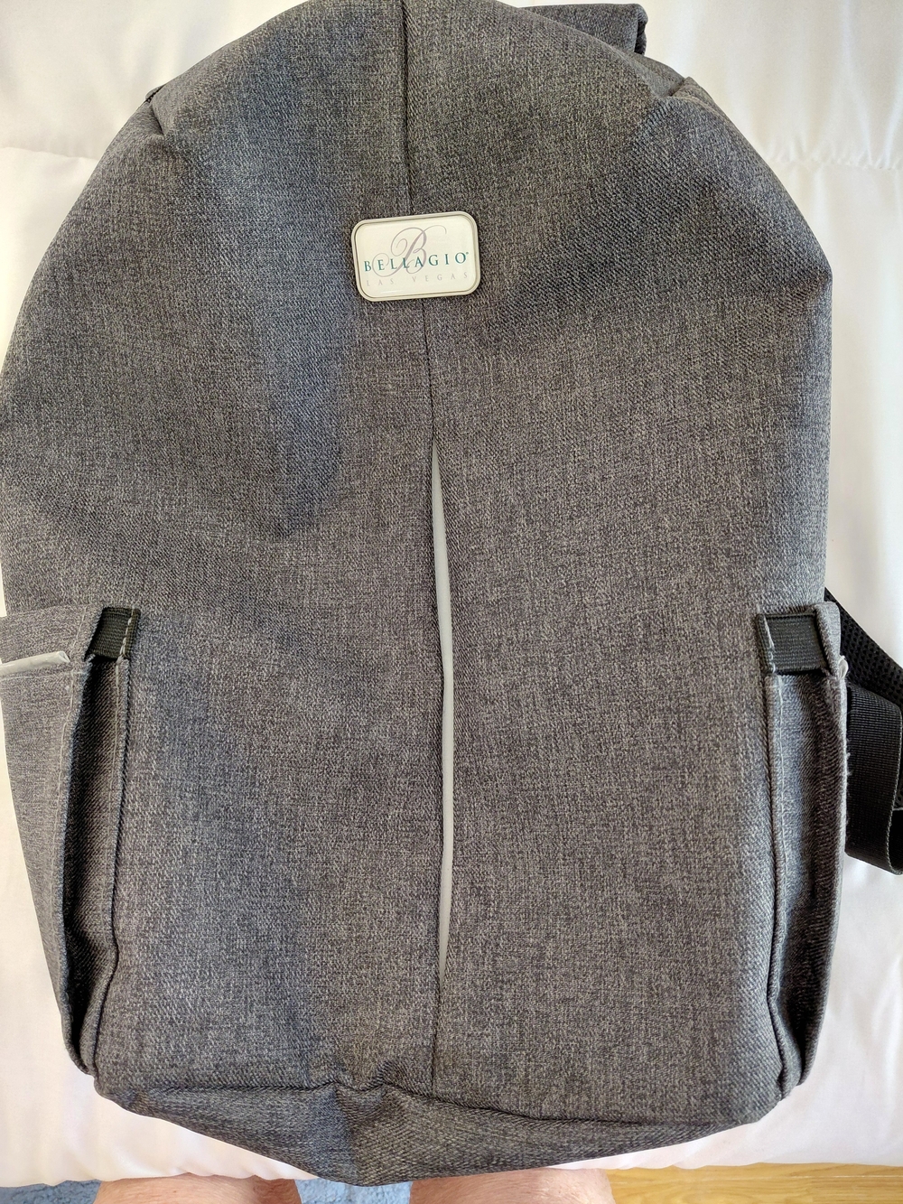 Phantom Xd Gray Laptop Backpack with Bellagio LV Logo Travel with TSA Lock